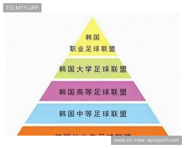 足球俱乐部在青训中实施多维评价体系衡量成长与潜力，足球青训俱乐部规划