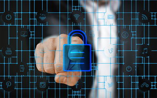 爱游戏体育在线-校园体育安全管理策略研究，校园体育安全管理策略研究报告