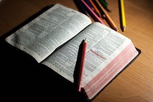 爱游戏app活动-体育教师能力认证制度在试点城市启动，体育教师资格证认定条件